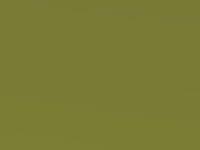 Pulse Green Metallic touch-up paint for Nissan Micra, code JAL, 2016