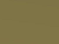 Yellow Green Metallic touch-up paint for Nissan Almera, code JP1, 1997