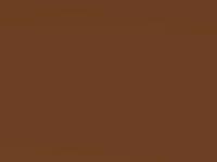 Brownish Orange Metallic touch-up paint for Nissan X-Trail, code R12, 2006