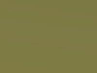 Lime Yellow Metallic touch-up paint for Suzuki S-Cross, code Z2H, 2015