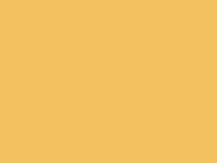 Mimosa Yellow touch-up paint for Suzuki Ignis, code Z6K, 2005