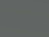 Galactic Grey Metallic touch-up paint for Suzuki Ignis, code ZCD, 2016