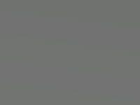 Medium Silver Metallic touch-up paint for Suzuki Ignis, code ZU1, 2005