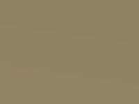 Helios Gold Metallic touch-up paint for Suzuki Ignis, code ZWE, 2018