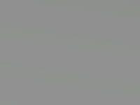 Satin Silver Metallic touch-up paint for Toyota Aygo, code 1E7, 2005
