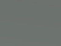 Grey Metallic touch-up paint for Toyota Auris, code 1G6, 2019