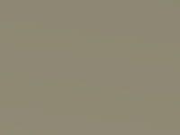 Champagne Metallic touch-up paint for Toyota Avensis, code 583, 2001