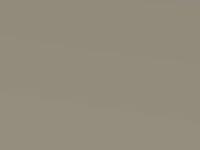 Champagne Metallic touch-up paint for Toyota Hilux, code 586, 2006