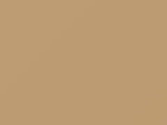 Light Mocha touch-up paint for Ford Tempo, code DB, M6453A, 1992