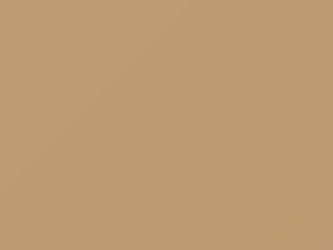 Light Mocha touch-up paint for Ford Light Truck, code DB, M6453A, 1992