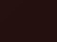 Dark Auburn Metallic touch-up paint for Oldsmobile 98 Regency, code 66, 1991