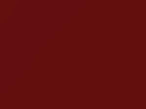 Bright Red touch-up paint for Ford, code 2V, ER, M6034A, 1993
