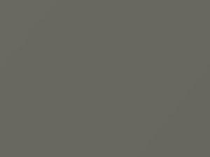 Birch Gray touch-up paint for Ford, code M14286, 1949