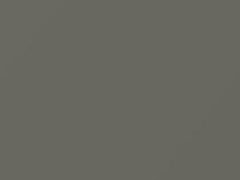Birch Gray touch-up paint for Ford, code M14286, 1949