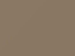 Pastel Sandalwood touch-up paint for Ford, code 64, AY, M6333A, 1990