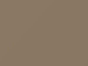 Pastel Sandalwood touch-up paint for Ford, code 64, AY, M6333A, 1990