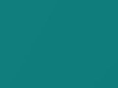 Bright Turquoise Pearl touch-up paint for Toyota Tercel, code 756, 1998