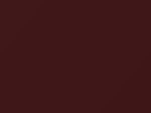 BMW Burgundy Metallic touch up paint 199 1988 All Models