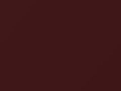 BMW Burgundy Metallic touch up paint 199 1986 All Models