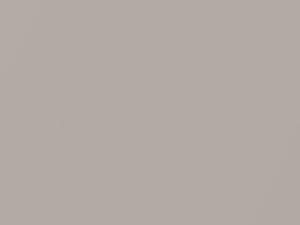 Light Beige Metallic touch-up paint for Toyota Land Cruiser, code 4K1, 1994