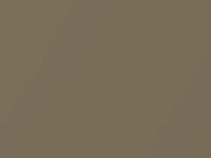 Beige Metallic touch-up paint for Lexus, code 4D3, C10, UA4D3, 1991