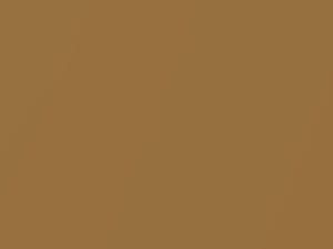 Light Saddle Metallic touch-up paint for Chevrolet, code 64, 8266, WA8266, 1985