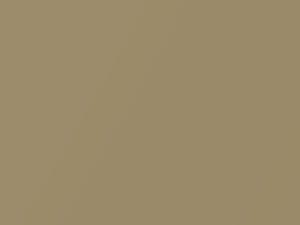 Drama Gold Metallic touch-up paint for Chrysler Concorde, code AY96SYK, PYK, SYK, 1996