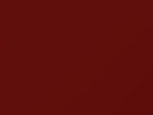Light Canyon Red touch-up paint for Ford, code 2E, M5944A, 1989