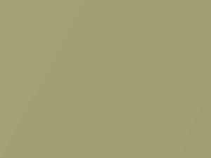 Willow Green Metallic touch-up paint for Chevrolet, code 504, 5169, WA5169, 1971