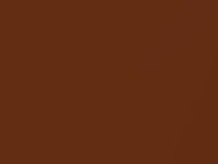 Light Brown Metallic touch-up paint for Datsun, code 301, 1978
