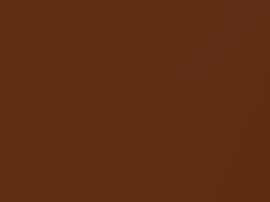 Light Brown Metallic touch-up paint for Datsun, code 301, 1978