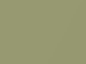 Lime Gold Metallic touch-up paint for Ford, code A, 1969–2041