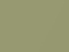 Lime Gold Metallic touch-up paint for Ford, code A, 1969–2041