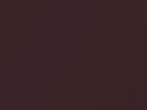 Medium Rosewood Metallic touch-up paint for Buick, code 82, 8990, WA8990, 1989