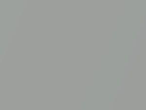 Silver Metallic touch-up paint for Ford, code 1E, M5967A, 1989