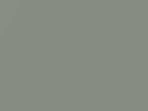 Light Silverfern Metallic touch-up paint for Chrysler Cirrus, code AY112RJM, PJM, RJM, 1996