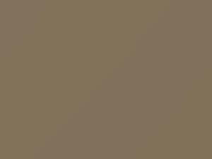Pure Beige touch-up paint for Kia, code BPY, 2020