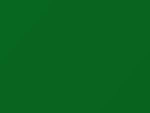 BMW Signal Green touch up paint P56 2019 All Models