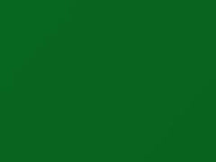 BMW 7 Series Signal Green touch up paint P56 2019 7-SERIES