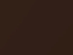 Dark Brown Metallic touch-up paint for Nissan Terra, code CAQ, 2019