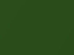 Mercedes-Benz Kryptonite Green Metallic touch up paint 175 2018 All Models