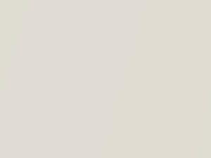 Blizzard Pearl touch-up paint for Toyota, code 070, 70, 2021