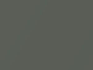 Silver Spruce Metallic touch-up paint for Ford F150, code 7422, BN + alternatives, 2021
