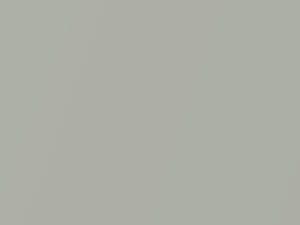 Birch Light Metallic touch-up paint for Volvo, code 726, 2021