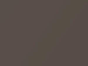 BMW Jucaro Beige Metallic touch up paint C2S 2020 All Models