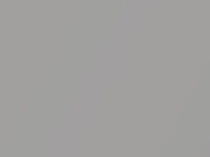 BMW Rhodonite Silver Metallic touch up paint C4B 2020 All Models