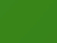 Servpro Green touch-up paint for Dodge, code P51, 2021
