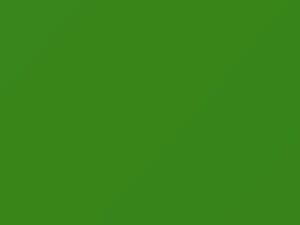 Servpro Green touch-up paint for Dodge Promaster, code P51, 2021