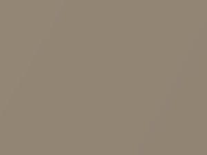 Champagne Beige Metallic touch-up paint for Acura, code YR60M, 1987