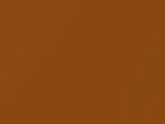 Pride Orange Metallic touch-up paint for Ford, code 5FLQ, FLQ + alternatives, 2018